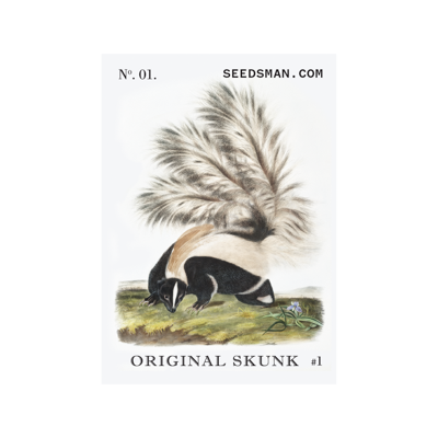 Seedsman sticker